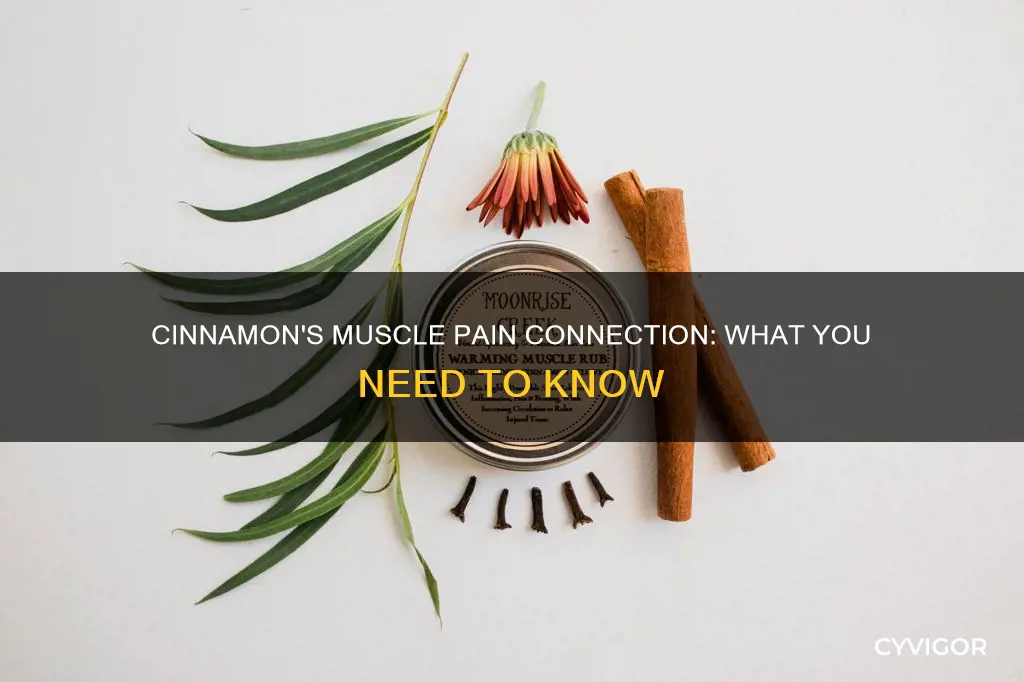 can cinnamon cause muscle pain