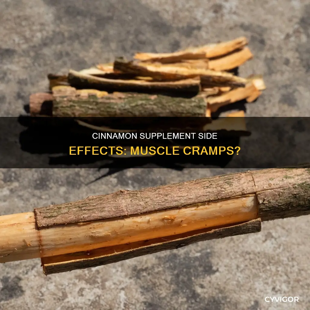 can cinnamon supplement cause muscle cramps
