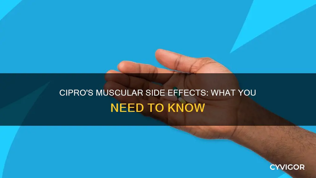 can cipro cause muscle aches