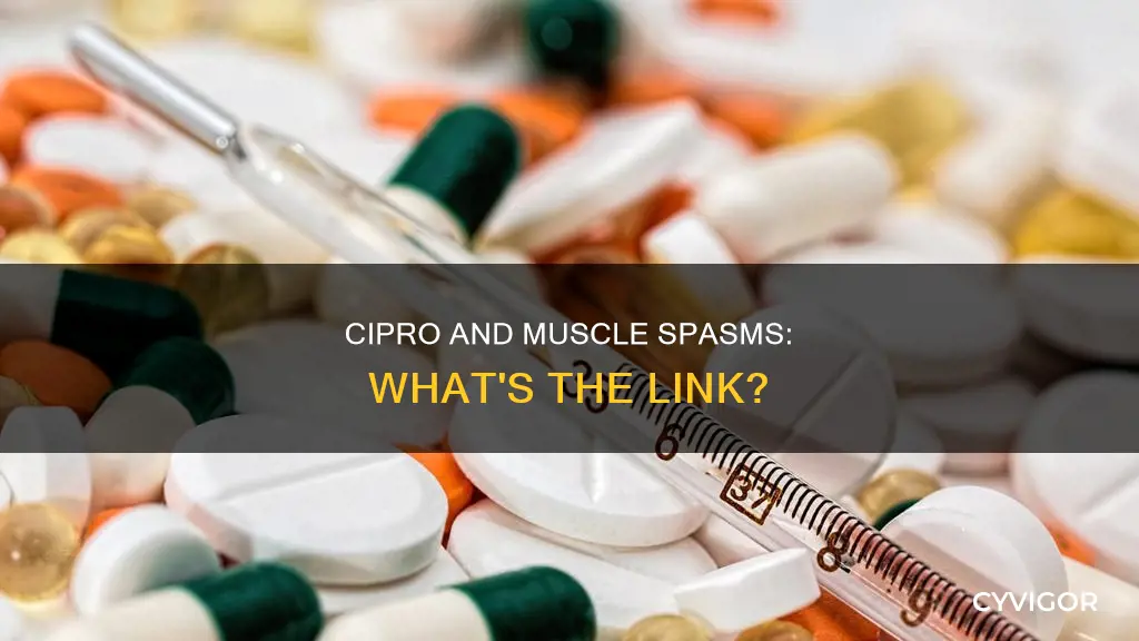 can cipro cause muscle spasms