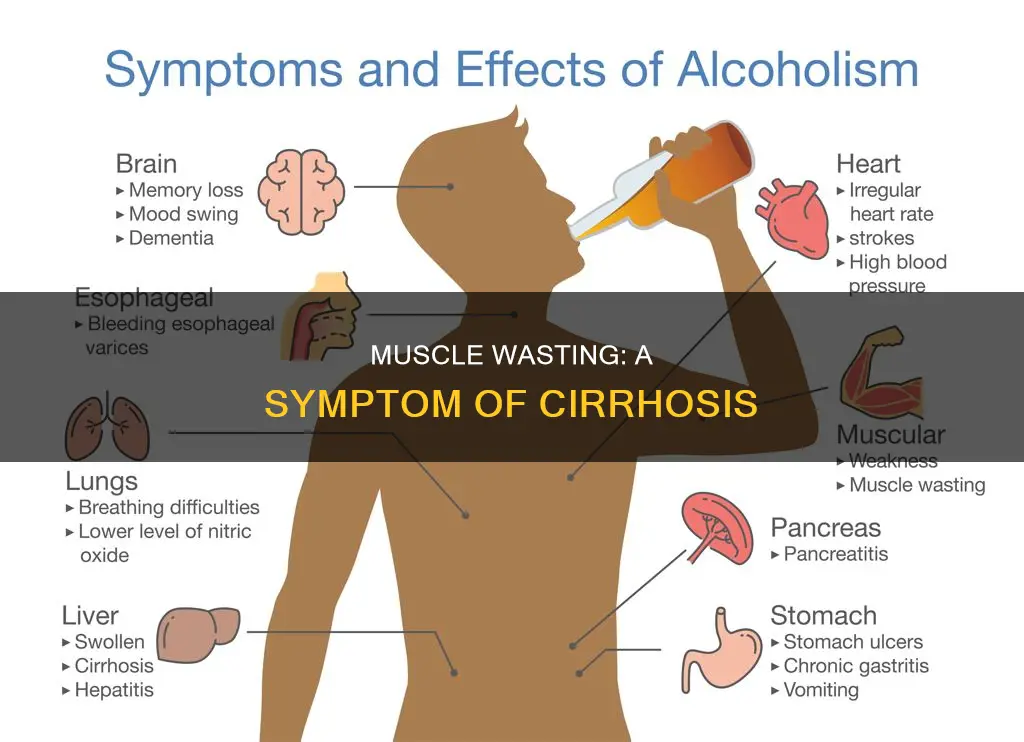 can cirrhosis cause muscle wasting