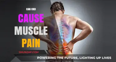 CKD and Muscle Pain: What's the Link?