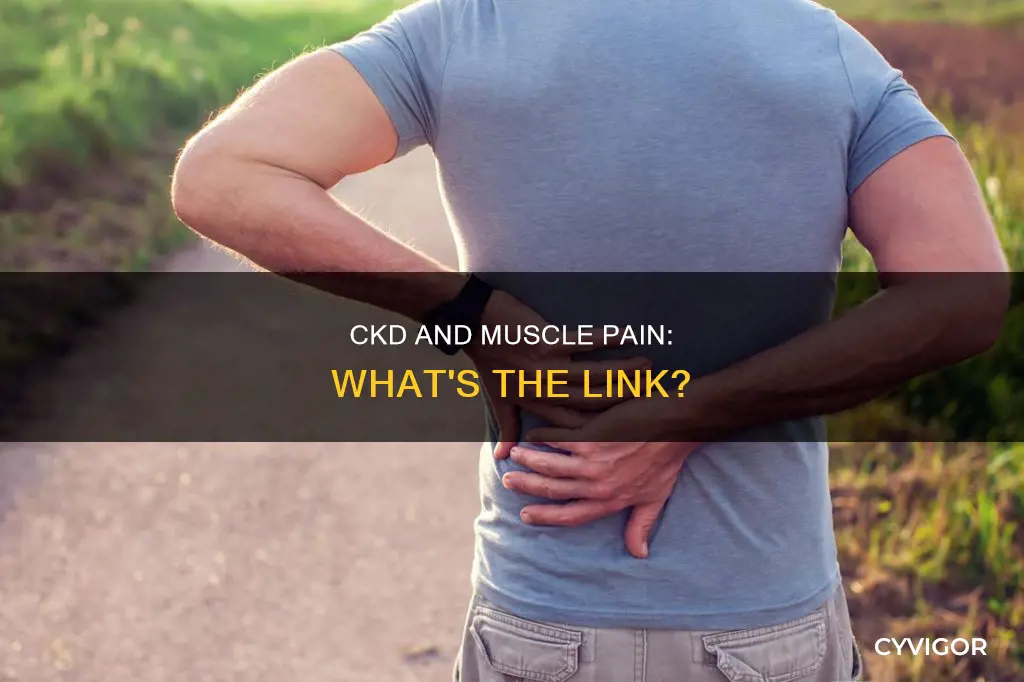 can ckd cause muscle pain
