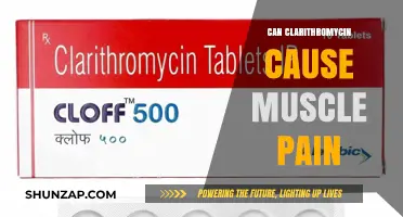 Clarithromycin and Muscle Pain: What's the Link?