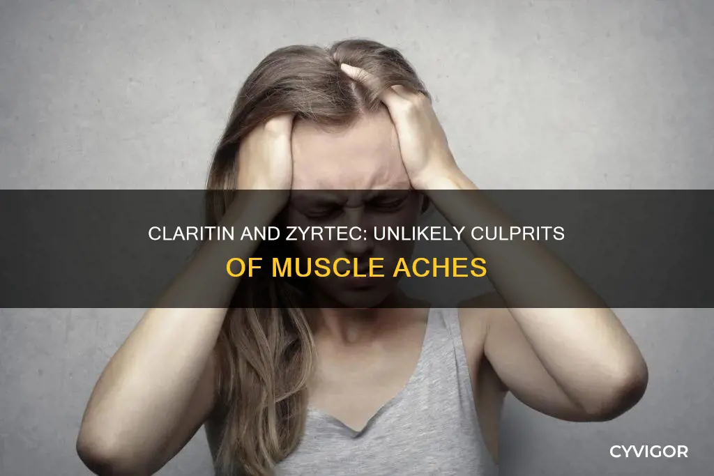 can claritin or zyrtec cause extreme muscle aches