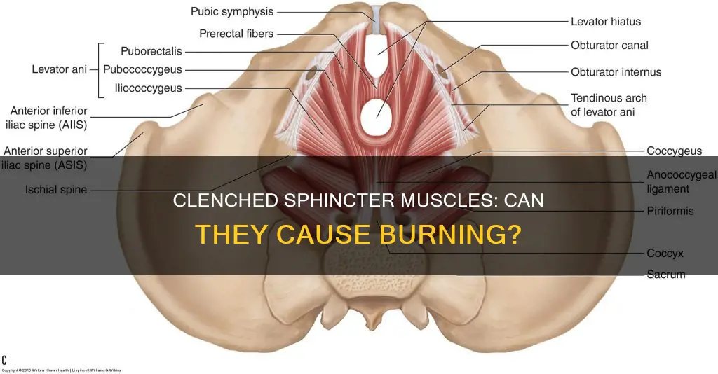 can clenched sphincter muscles cause them to burn