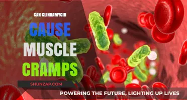 Clindamycin's Muscular Side Effects: Cramps and Pain