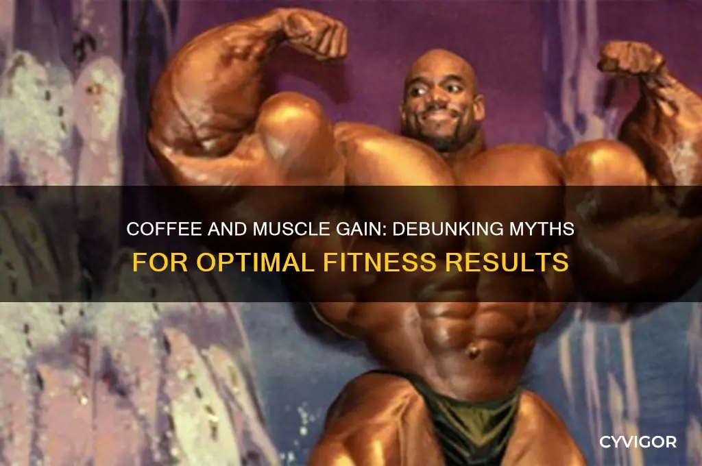 can coffee hurt muscle gain