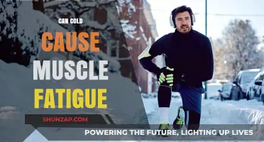 Cold Exposure and Muscle Fatigue: What's the Link?