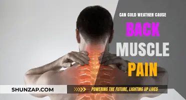 Cold Weather and Back Pain: Is There a Link?