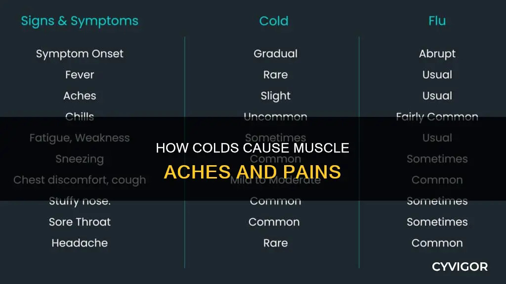 can colds cause muscle aches