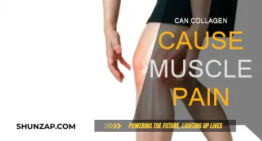 Collagen and Muscle Pain: What's the Connection?