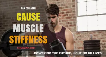 Collagen and Muscle Stiffness: What's the Connection?