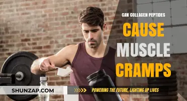 Collagen Peptides: Do They Cause Muscle Cramps?