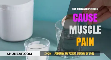 Collagen Peptides: Do They Cause Muscle Pain?
