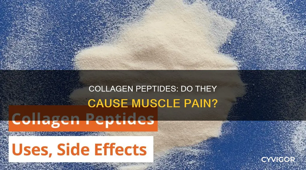 can collagen peptides cause muscle pain