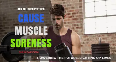 Collagen Peptides: Friend or Foe for Sore Muscles?