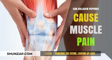 Collagen Peptides: Muscle Pain or Gain?