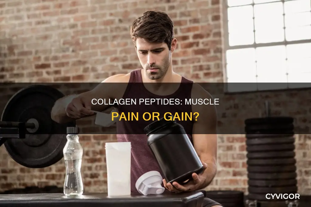 can collagen pepyides cause muscle pain