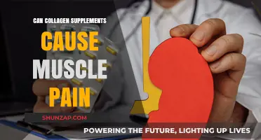 Collagen Supplements: Do They Cause Muscle Pain?