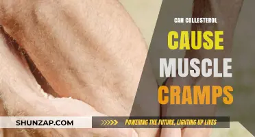 Cholesterol and Muscle Cramps: Is There a Link?