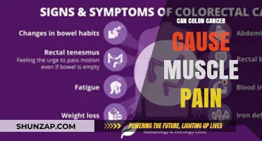 Colon Cancer and Muscle Pain: Is There a Link?