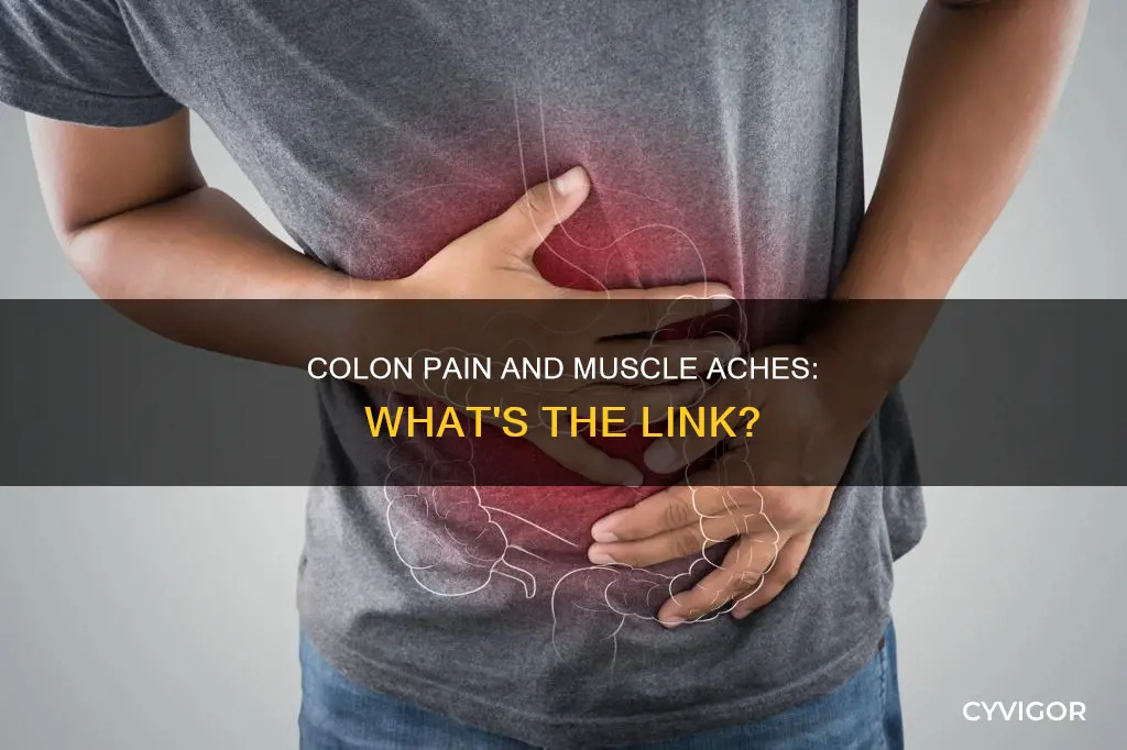 can colon pain cause muscle pain