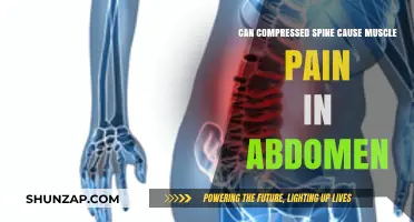Spinal Compression: Abdominal Pain and Muscle Aches