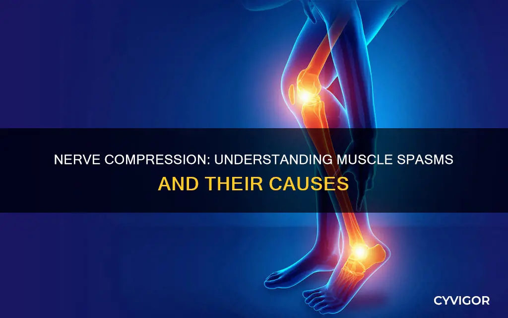 can compressing a nerve cause a muscle spasm
