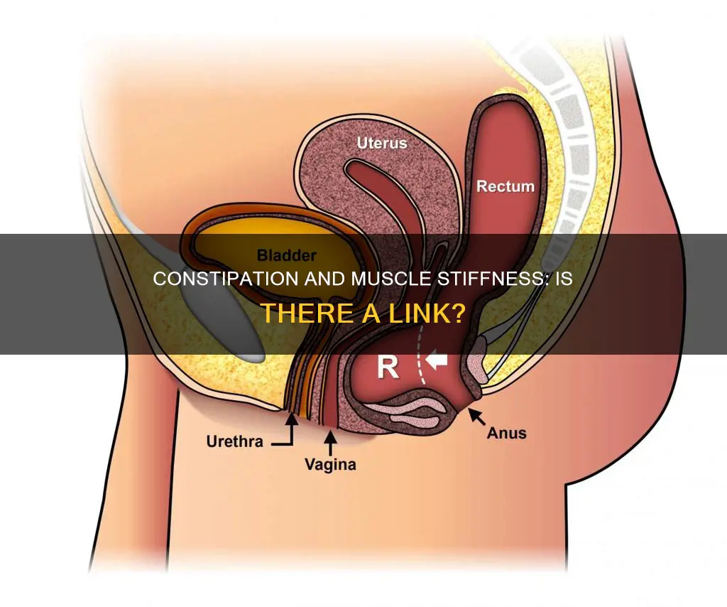 can constipation cause muscle stiffness