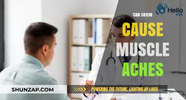 CoQ10 and Muscle Aches: What's the Link?