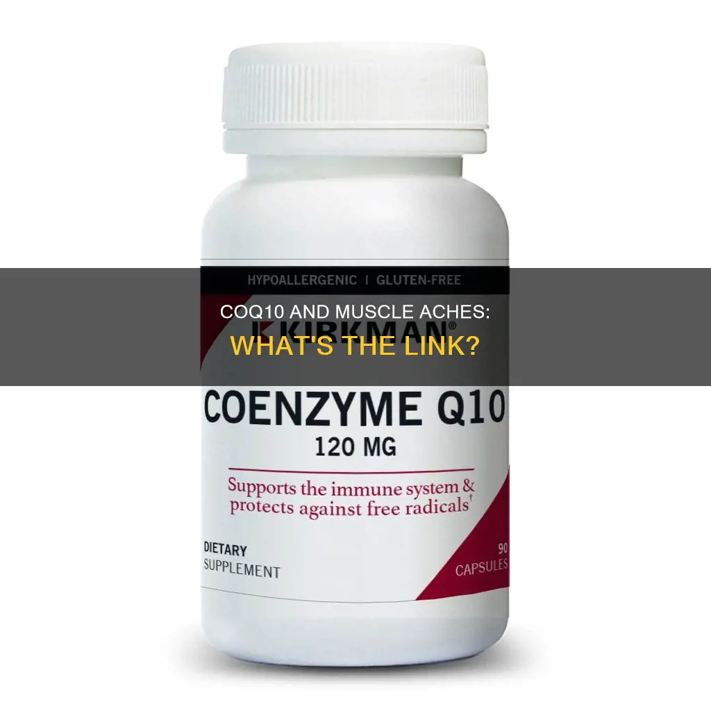 can coq10 cause muscle aches