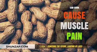 Corn Consumption: A Culprit Behind Muscle Pain?
