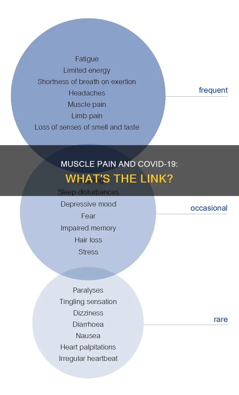 can corona cause muscle pain