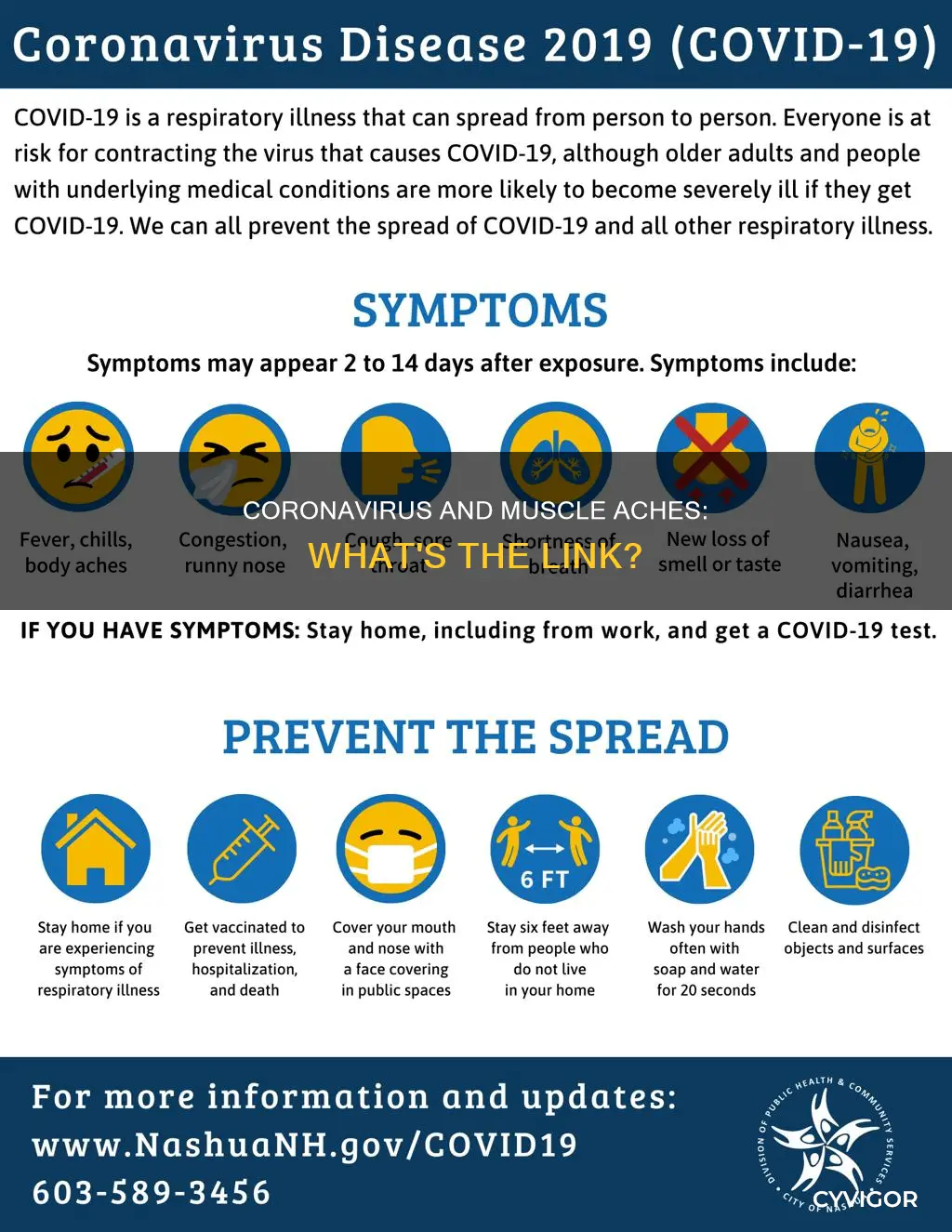 can coronavirus cause muscle aches