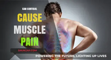 Cortisol and Muscle Pain: Is There a Link?