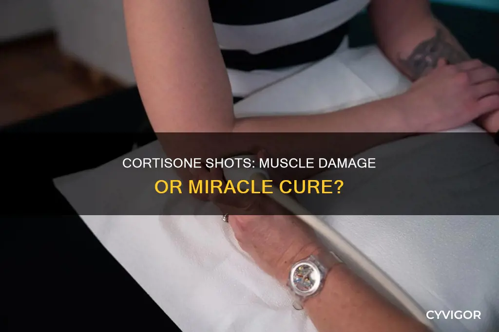 can cortisone shots cause damage to muscles