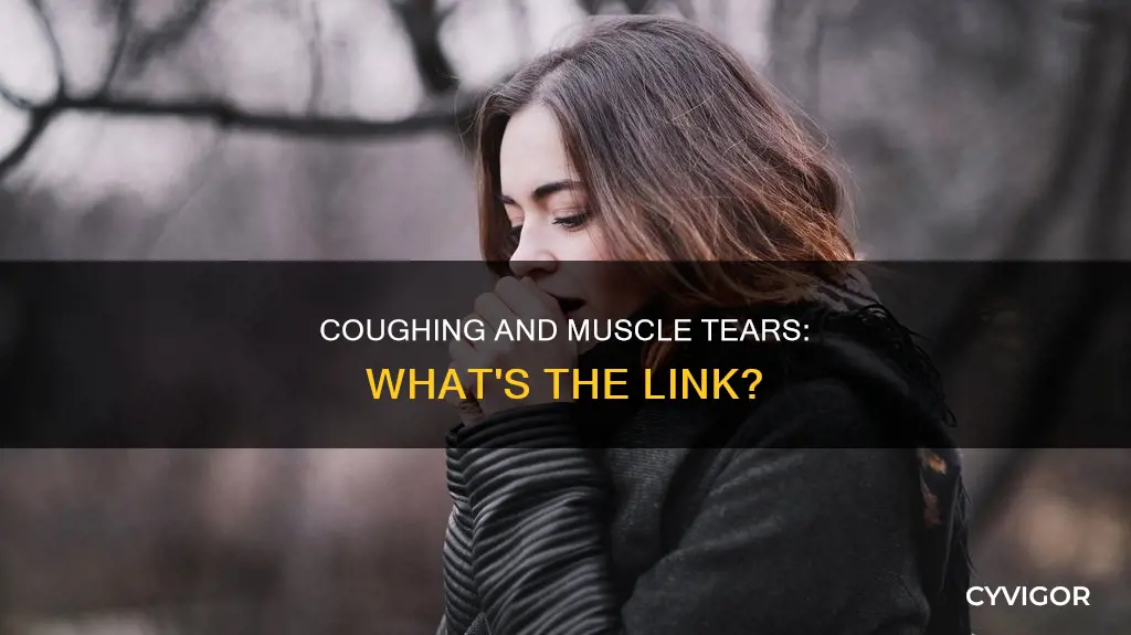 can coughing cause a muscle tear