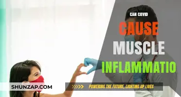 Covid's Impact: Muscle Inflammation Mystery