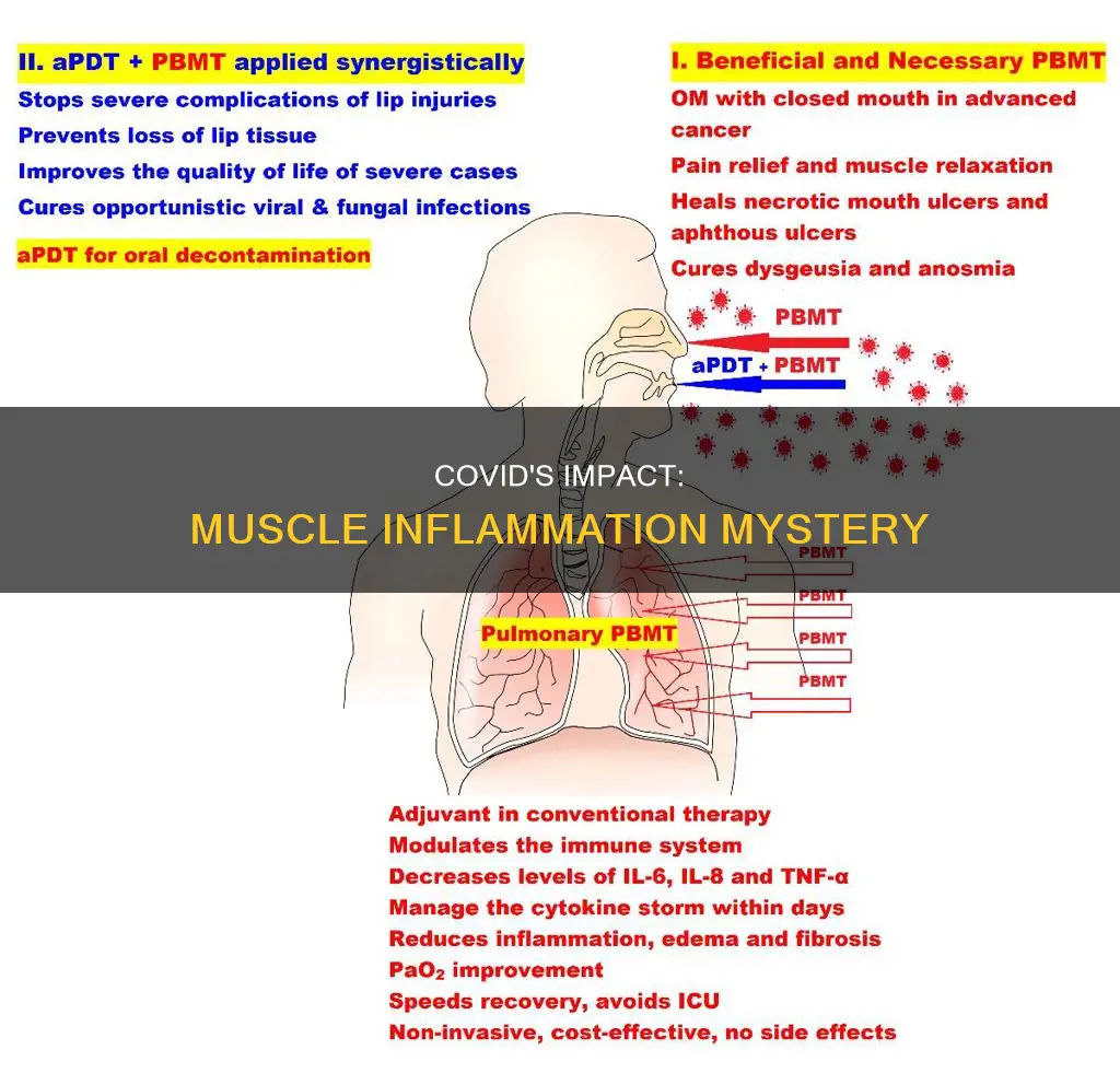 can covid cause muscle inflammation
