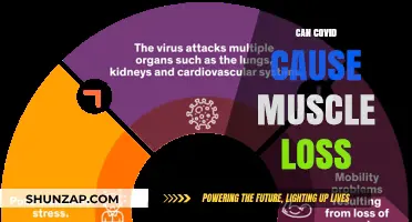 COVID's Impact: Muscle Loss and Recovery