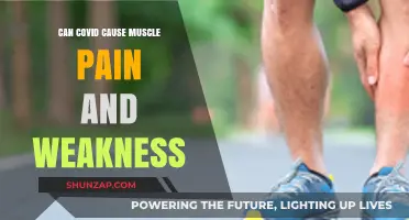 How COVID-19 Causes Muscle Pain and Weakness