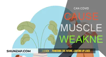 Covid's Impact: Muscle Weakness and Fatigue