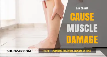 Cramping and Muscle Damage: What's the Real Story?