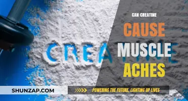 Creatine and Muscle Aches: What's the Real Deal?