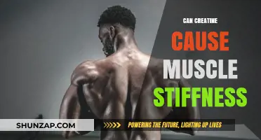 Creatine and Muscle Stiffness: Is There a Link?