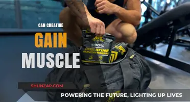 Can Creatine Build Muscle? Unlocking Strength and Growth Potential