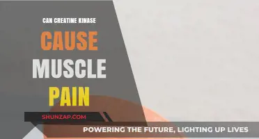 Creatine Kinase: A Link to Muscle Pain?