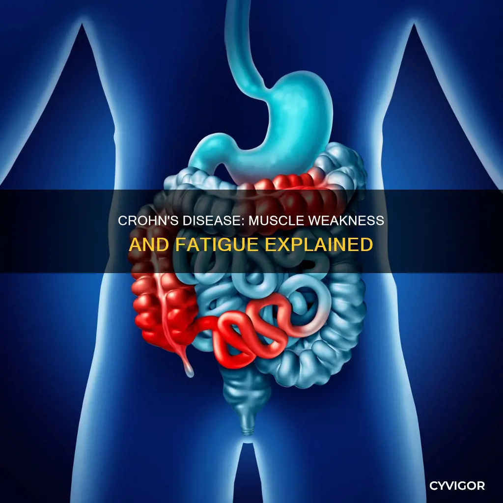 can crohn