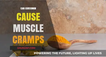 Curcumin's Muscle Cramp Conundrum: Cause or Cure?